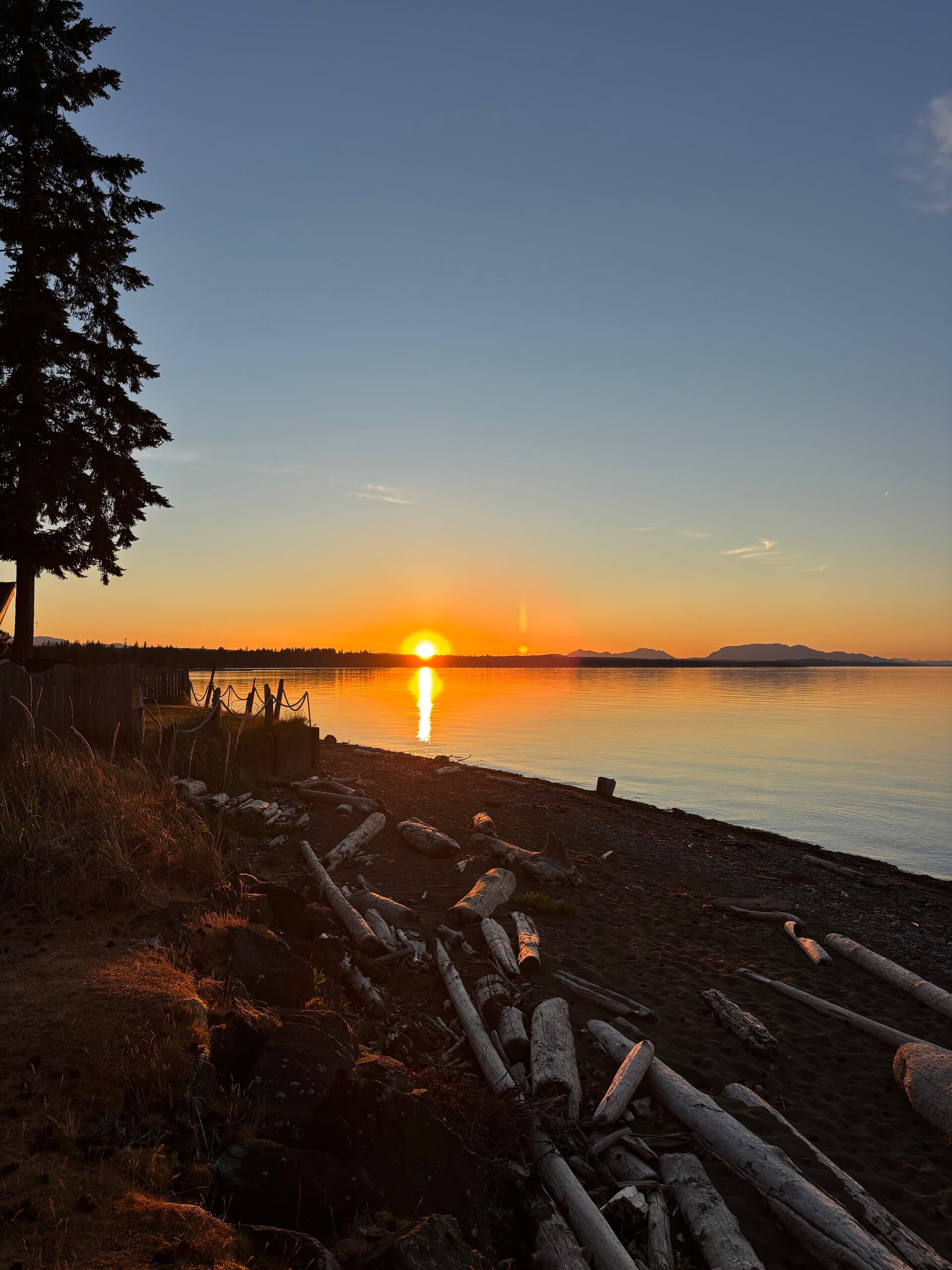 Beach sunset with driftwood in the foreground