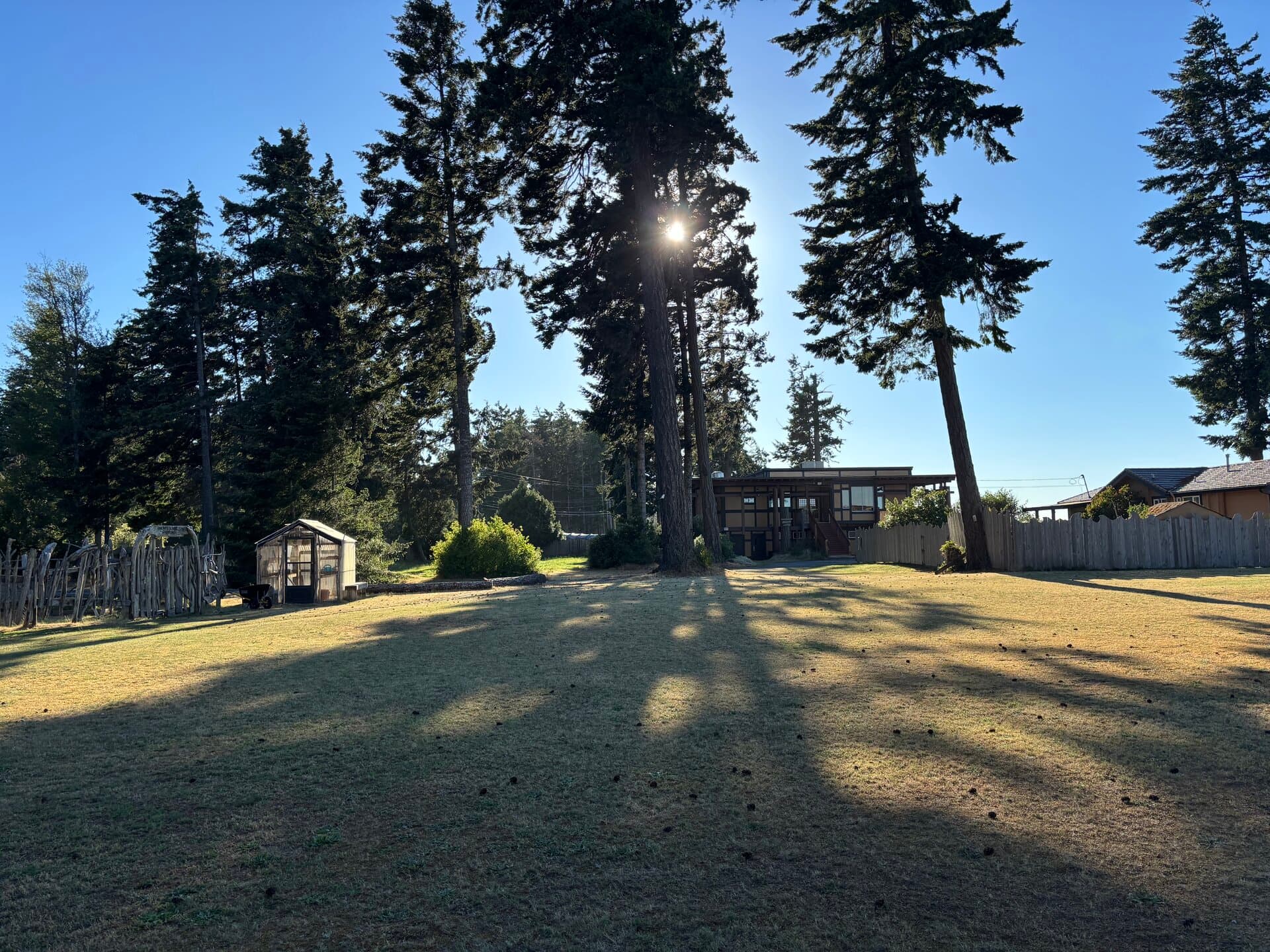 Resort exterior with open lawn and forest backdrop