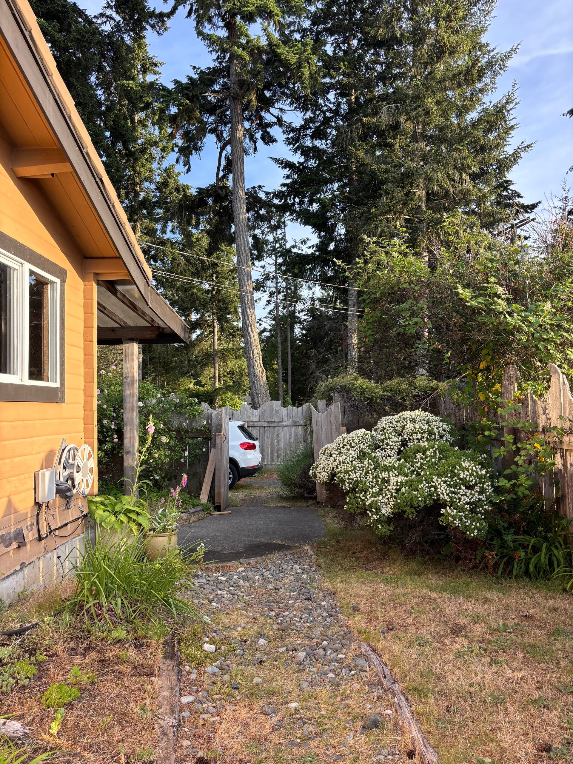 Side garden path with gate and landscaping