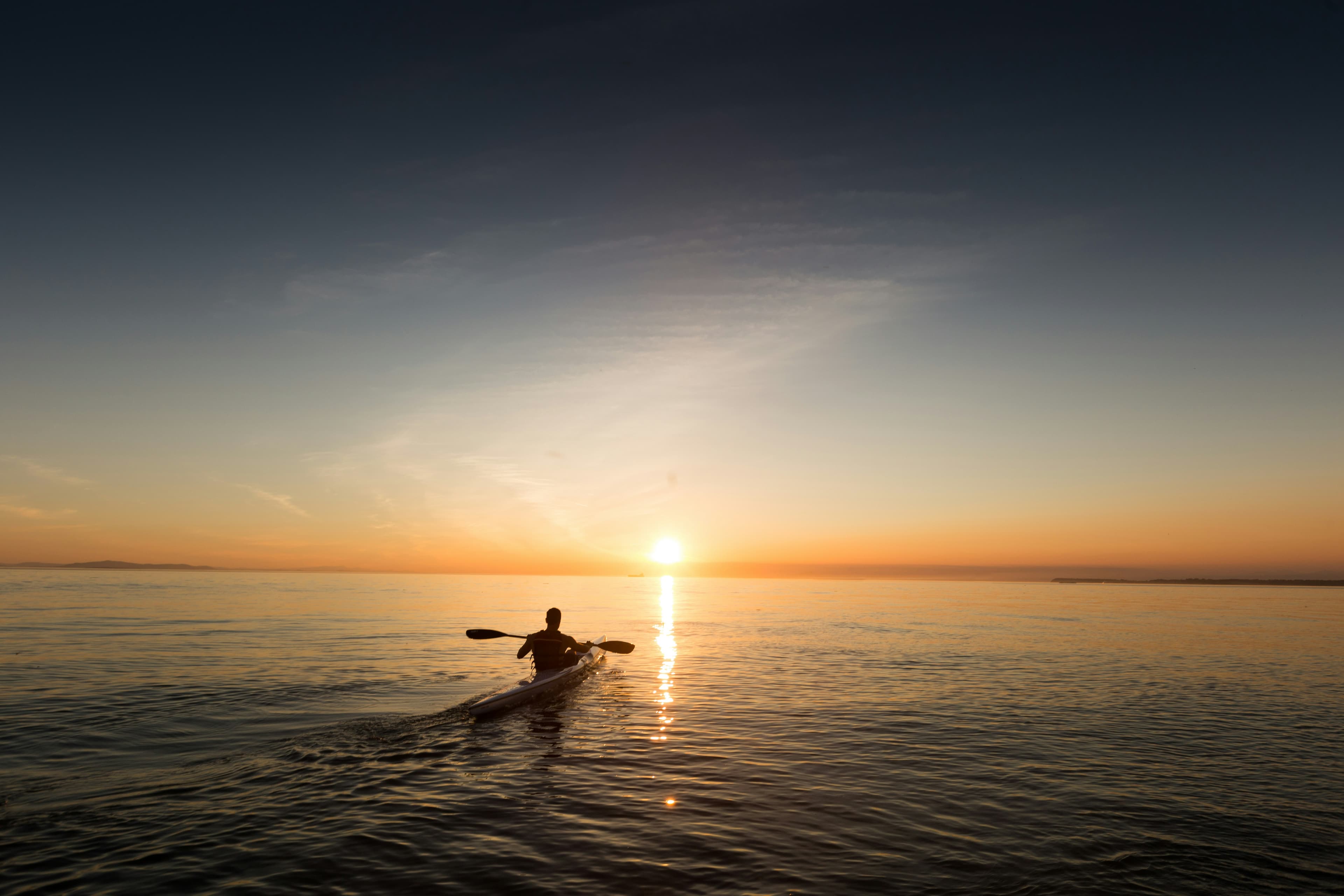 Guided Kayak Tours